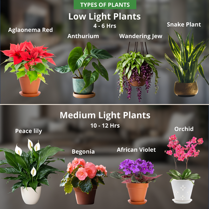SMART Indoor Plant Grow Light (Wi-fi + Bluetooth) 20W by BASICS™