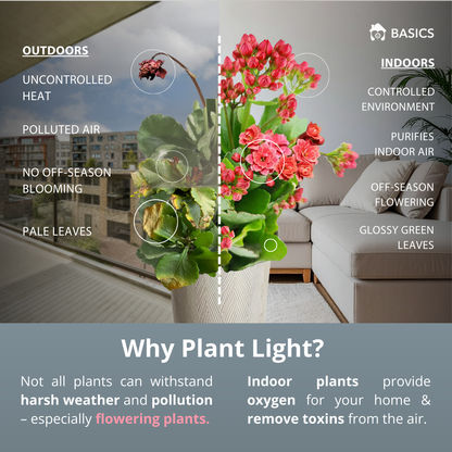 SMART Indoor Plant Grow Light (Wi-fi + Bluetooth) 20W by BASICS™