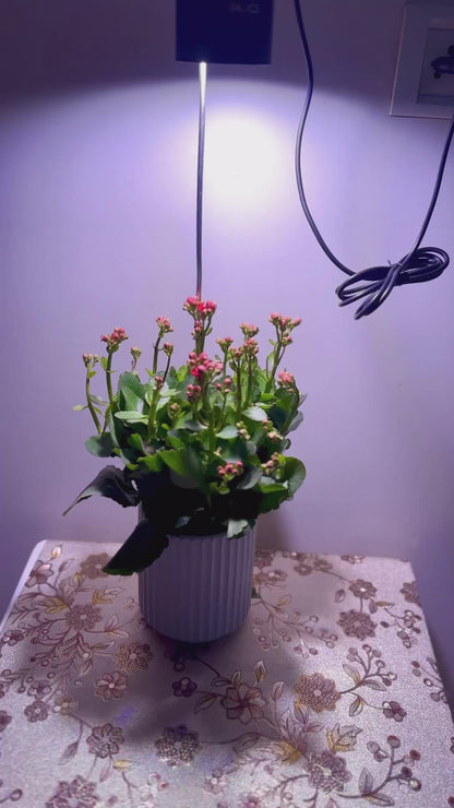 SMART Indoor Plant Grow Light (Wi-fi + Bluetooth) 20W